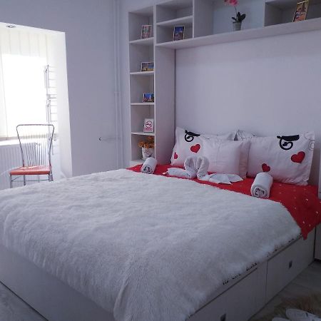 Epic Apartment Timisoara Luaran gambar